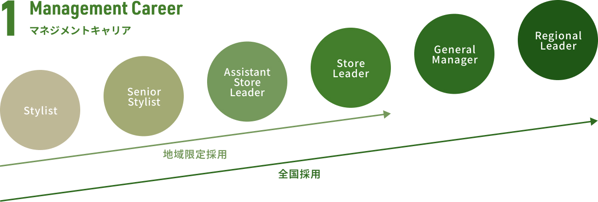 Management Career